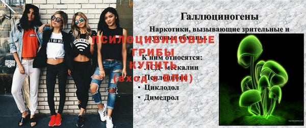 spice Магадан