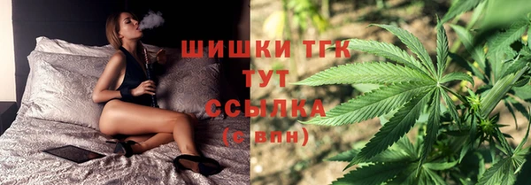 МДПВ Липки