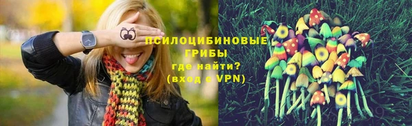 ПСИЛОЦИБИНОВЫЕ ГРИБЫ Лихославль