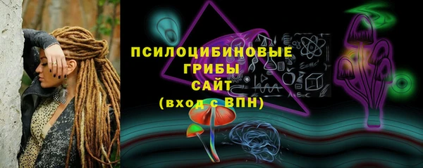 МДПВ Липки
