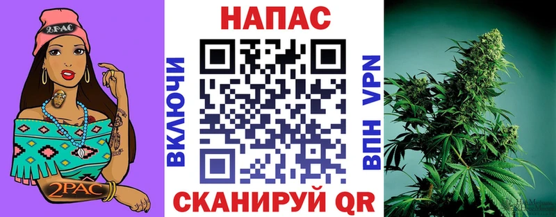 Каннабис SATIVA & INDICA  Новоржев 